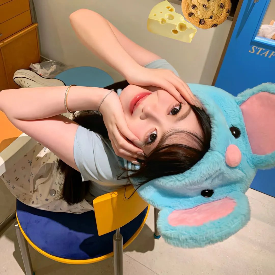我和我的伙伴